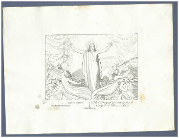 Visualizza l'immagine "Albo D 278, tav. 110"